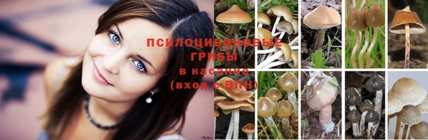 ECSTASY Покровск