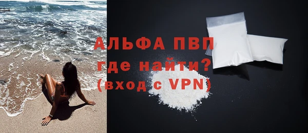 прущие грибы Елизово