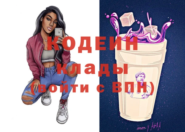 прущие грибы Елизово