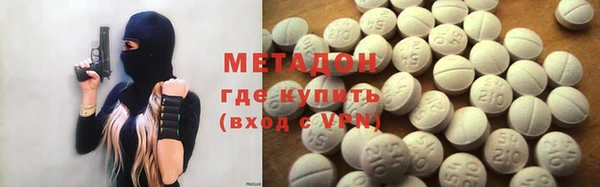 прущие грибы Елизово