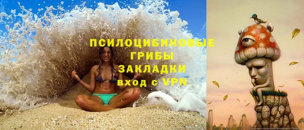 дживик Елабуга