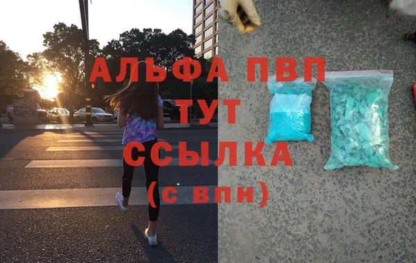 спайс Пересвет