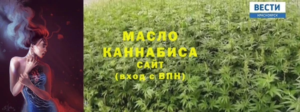 дживик Елабуга