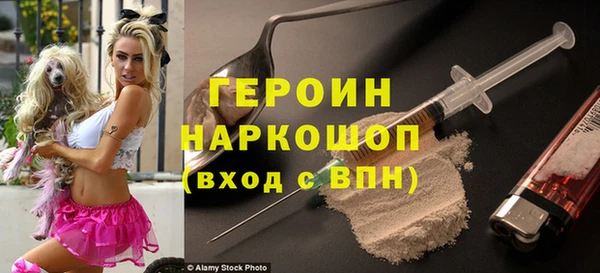 прущие грибы Елизово