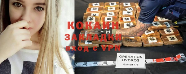 спайс Пересвет