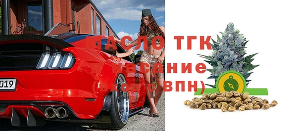 дживик Елабуга
