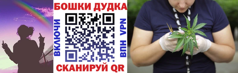 Бошки Шишки семена  как найти закладки  Первомайск 